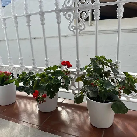 La Casa De Mami Benalmadena